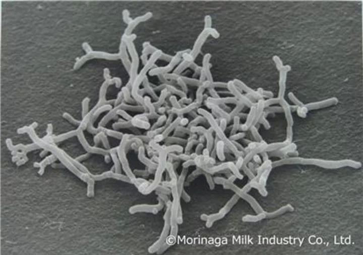 Morinaga Milk's Probiotic Bifidobacterium longum subsp. longum BB536 Receives ANVISA Approval with Gut Health Functional Claim in Brazil