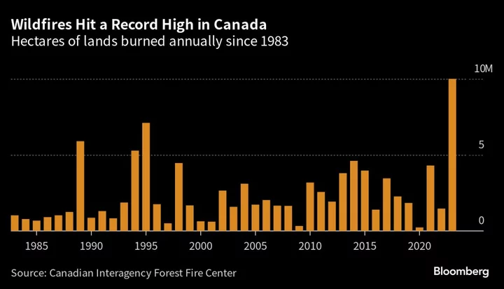 Canadian Wildfires Burn a Record 25 Million Acres With No End in Sight