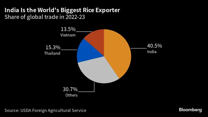 India to Cut Floor Price for Basmati Exports to Stay Competitive