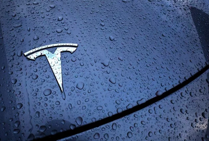 Tesla falls on long wait for Cybertruck payoff, hefty price tag
