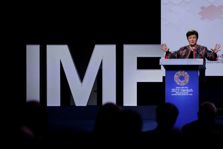 Exclusive-IMF sees support for funding increase without shareholding changes
